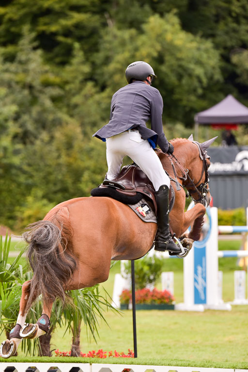  | Haunhorst, Mick - DSP Undercover 9-24_12 