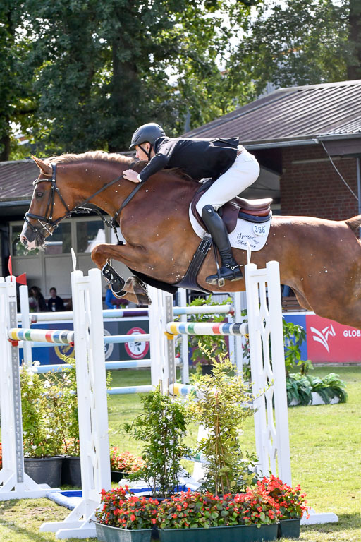  | Heckmann, Ben -Son of a Gun 9-24_12 