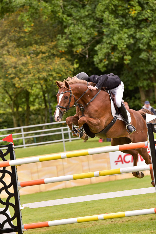  | Heckmann, Ben -Son of a Gun 9-24_33 