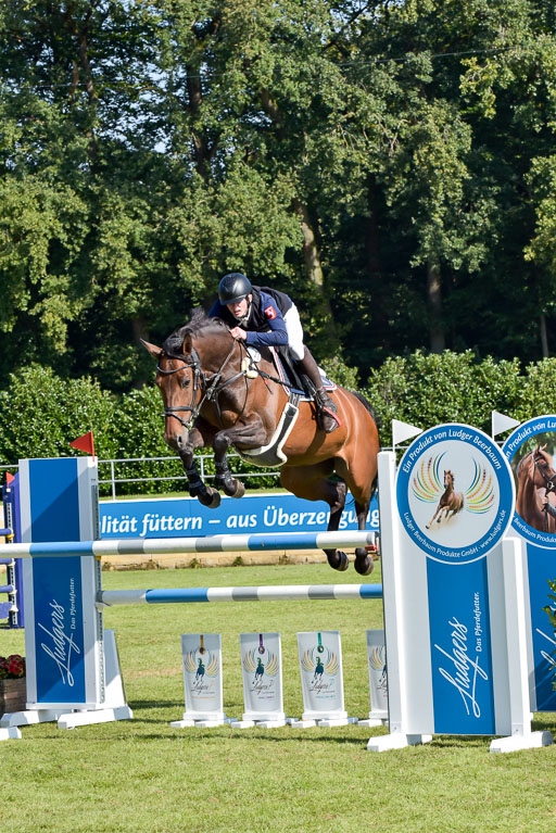  | Hein, Jeremy - Bellinis Bärbel 9-24_01 