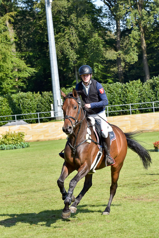  | Hein, Jeremy - Bellinis Bärbel 9-24_02 