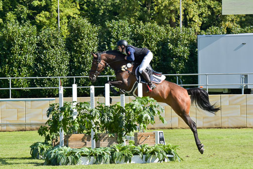  | Hein, Jeremy - Bellinis Bärbel 9-24_03 