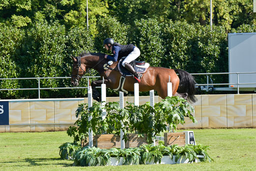  | Hein, Jeremy - Bellinis Bärbel 9-24_04 