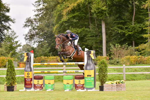  | Hein, Jeremy - Bellinis Bärbel 9-24_11 