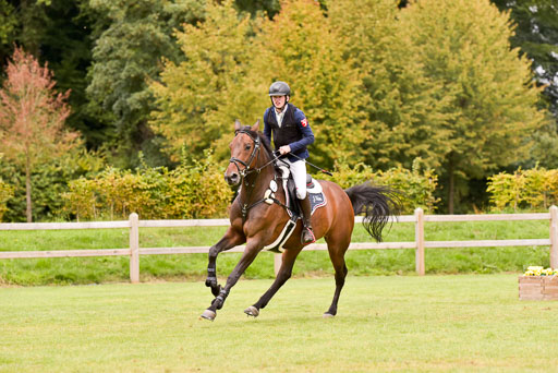  | Hein, Jeremy - Bellinis Bärbel 9-24_12 