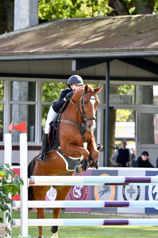  | Hilger, Viktoria - Jango 9-24 