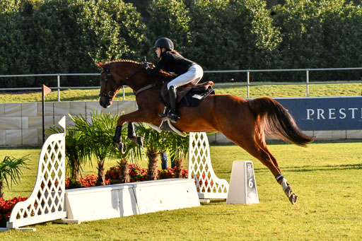  | Hilger, Viktoria - Jango 9-24_17 