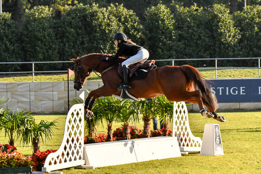  | Hilger, Viktoria - Jango 9-24_18 