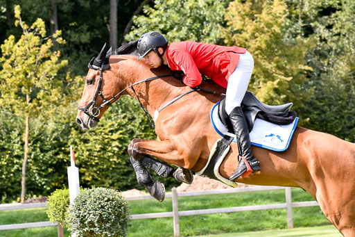  | Korte, Timm - Atomic Z 9-24_11 