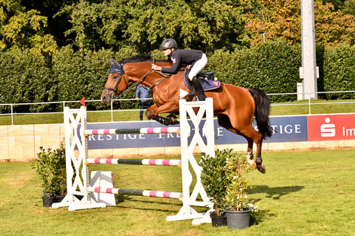  | Merschformann, Malte - Caschmir du Pomiez 9-24_02 