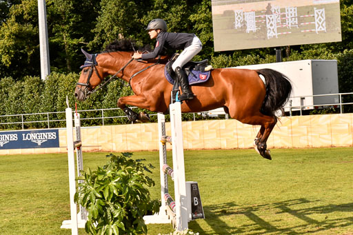  | Merschformann, Malte - Caschmir du Pomiez 9-24_04 