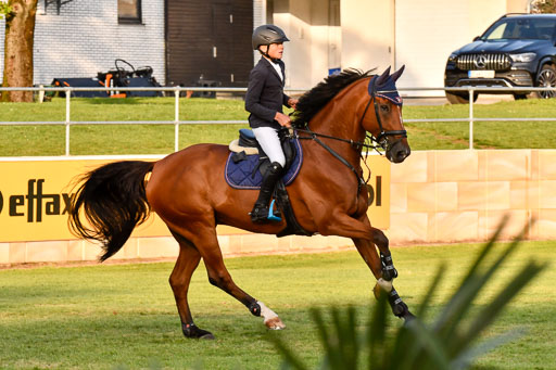  | Merschformann, Malte - Caschmir du Pomiez 9-24_09 