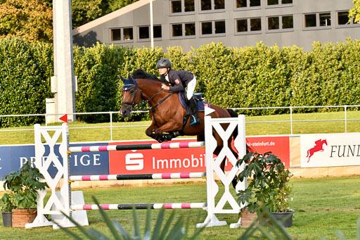  | Merschformann, Malte - Caschmir du Pomiez 9-24_12 