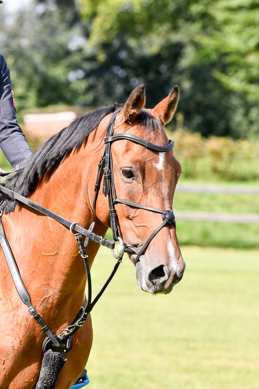  | Merschformann, Malte - Kornets Vico 9-24 