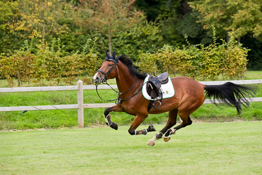  | Merx, lena - Phiodora 9-24_09 