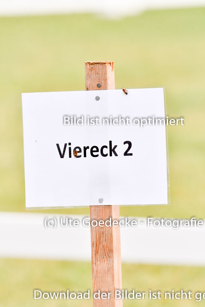 Goldene Schärpe Ponys in Hohenberg Krusemark 2024 | 12072024 Dressur _0001