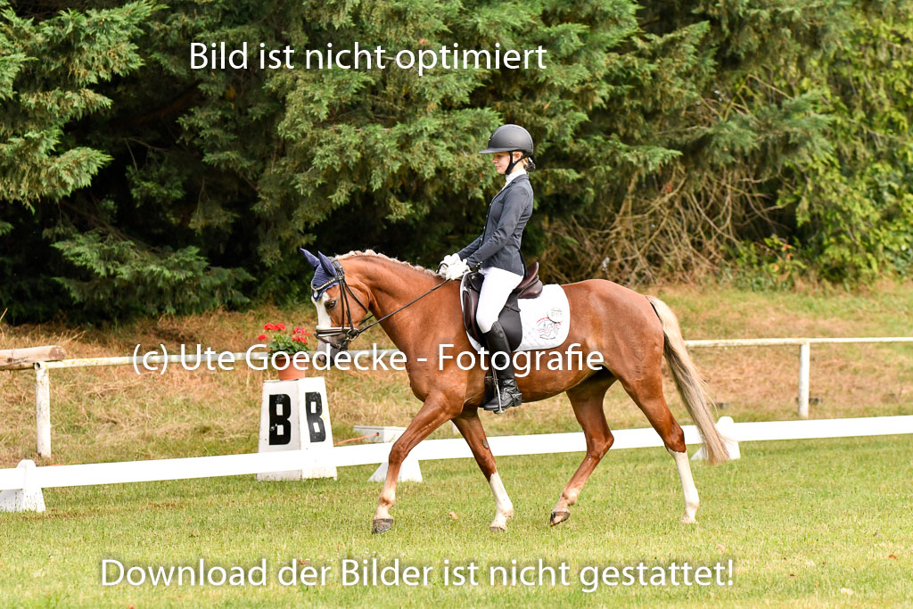 Goldene Schärpe Ponys in Hohenberg Krusemark 2024 | 12072024 Dressur _0007 