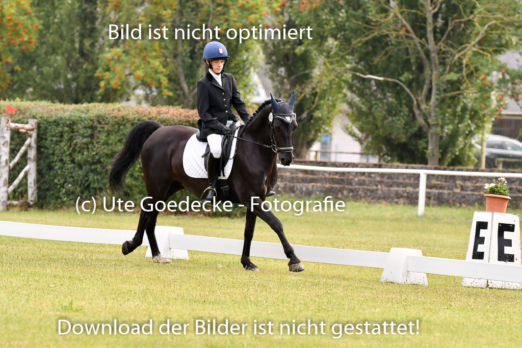 Goldene Schärpe Ponys in Hohenberg Krusemark 2024 | 12072024 Dressur _0009 