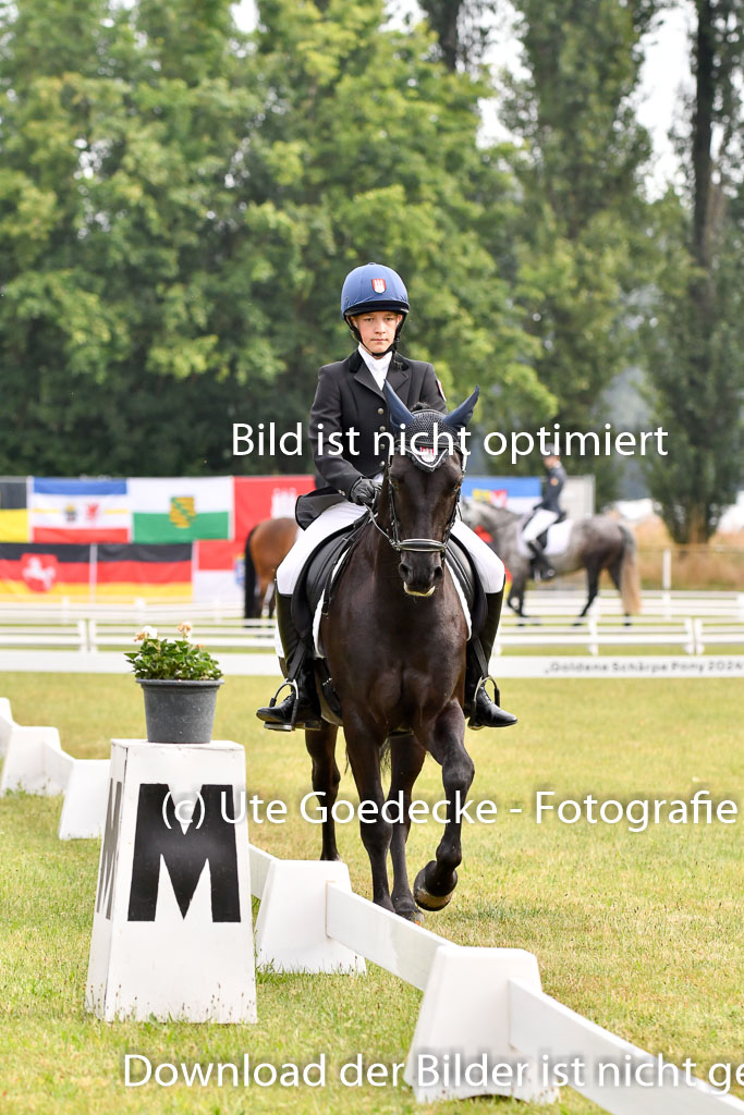 Goldene Schärpe Ponys in Hohenberg Krusemark 2024 | 12072024 Dressur _0012
