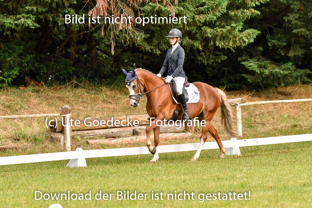 Goldene Schärpe Ponys in Hohenberg Krusemark 2024 | 12072024 Dressur _0014 