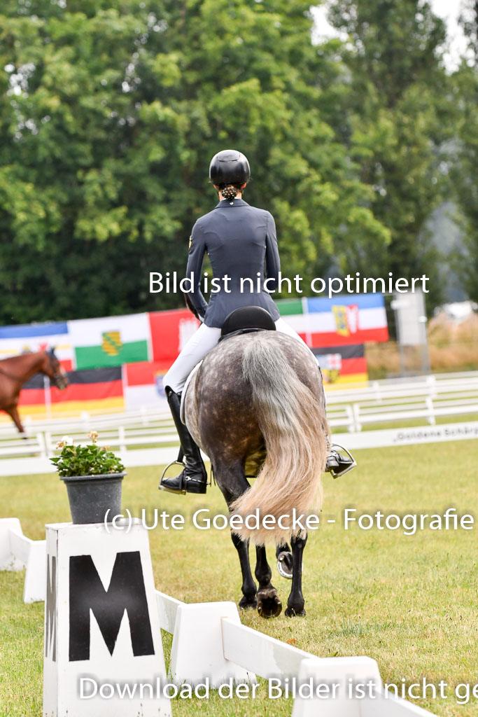 Goldene Schärpe Ponys in Hohenberg Krusemark 2024 | 12072024 Dressur _0017