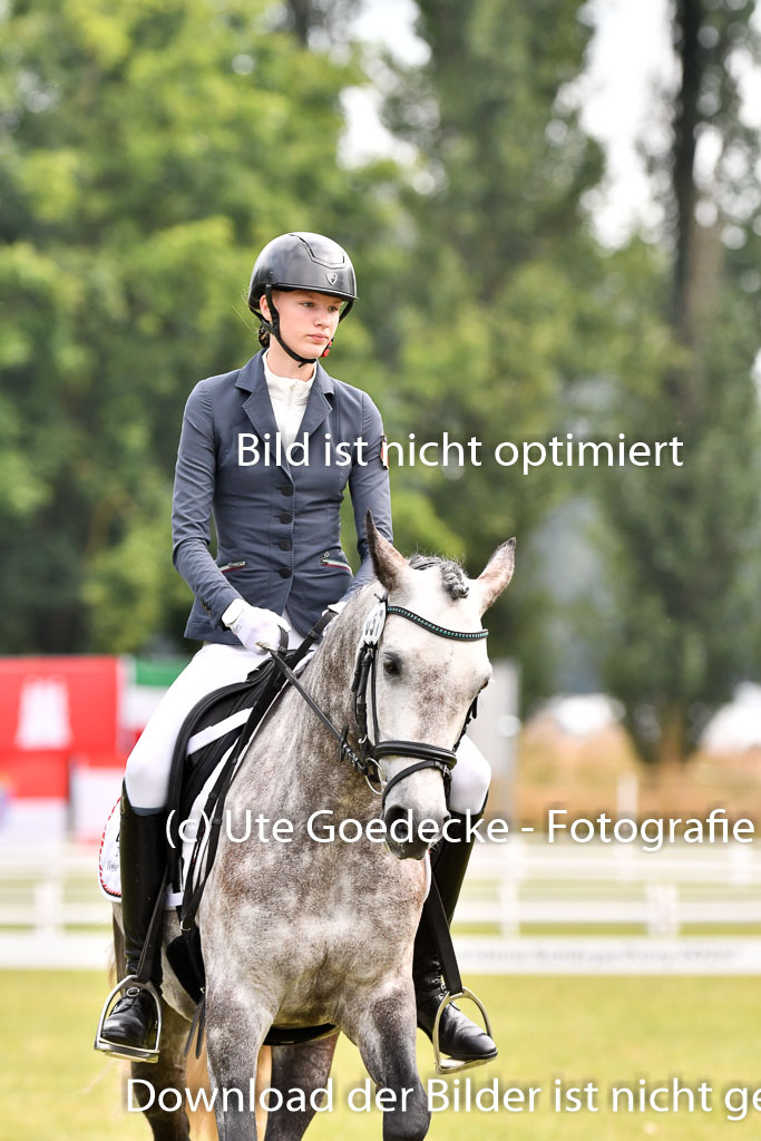 Goldene Schärpe Ponys in Hohenberg Krusemark 2024 | 12072024 Dressur _0026 