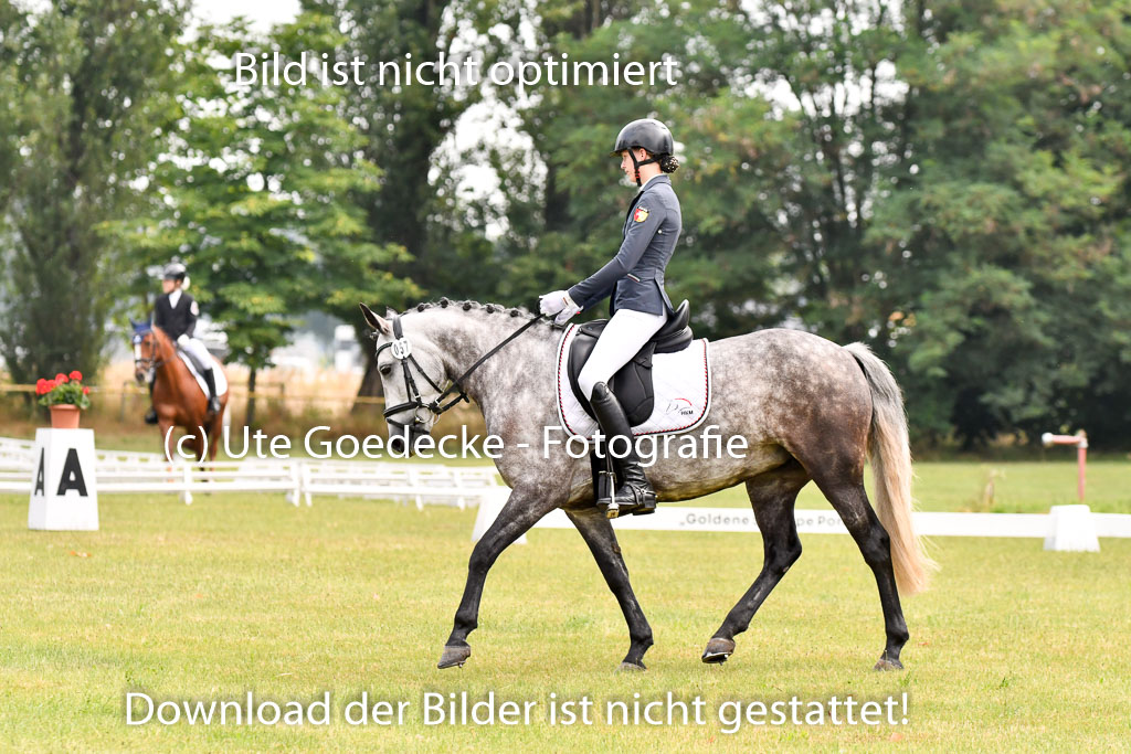 Goldene Schärpe Ponys in Hohenberg Krusemark 2024 | 12072024 Dressur _0028 