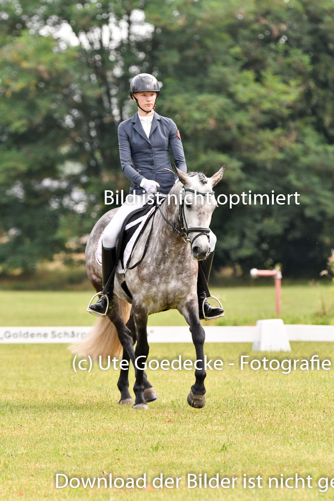 Goldene Schärpe Ponys in Hohenberg Krusemark 2024 | 12072024 Dressur _0029 