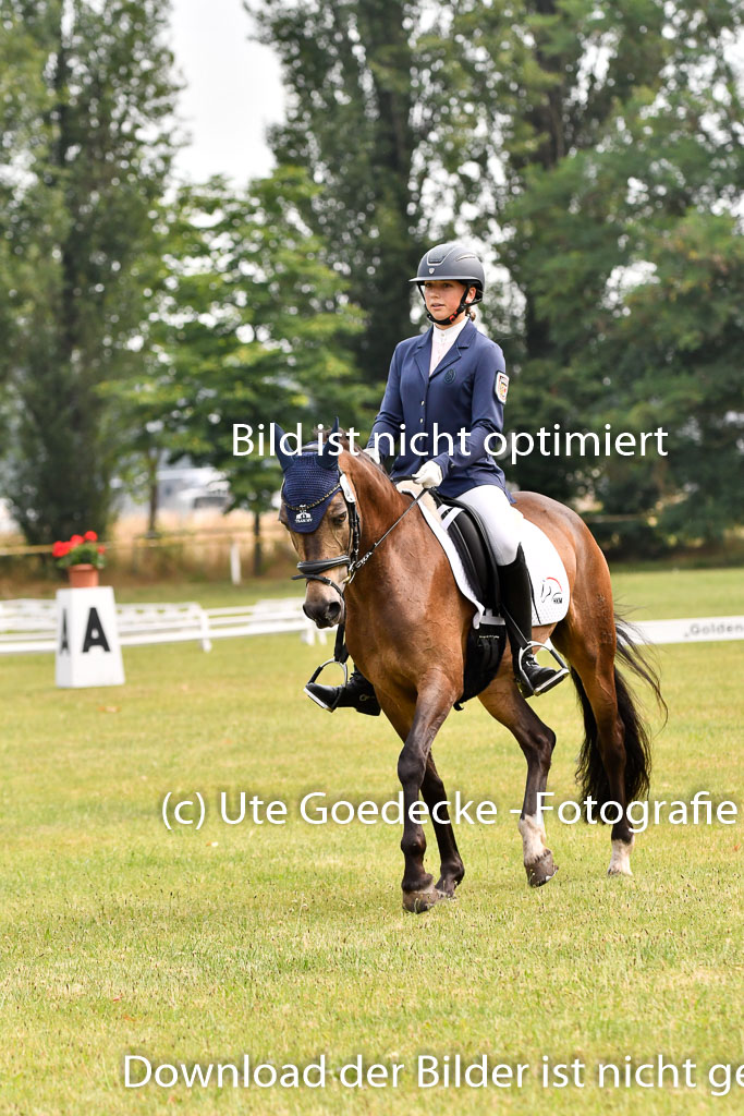 Goldene Schärpe Ponys in Hohenberg Krusemark 2024 | 12072024 Dressur _0031 