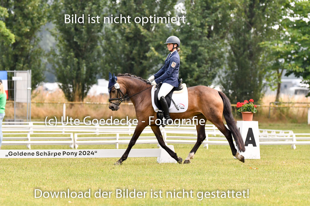 Goldene Schärpe Ponys in Hohenberg Krusemark 2024 | 12072024 Dressur _0032
