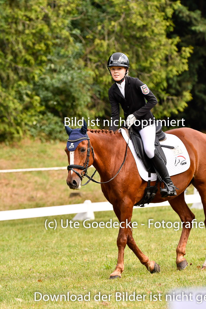 Goldene Schärpe Ponys in Hohenberg Krusemark 2024 | 12072024 Dressur _0044 