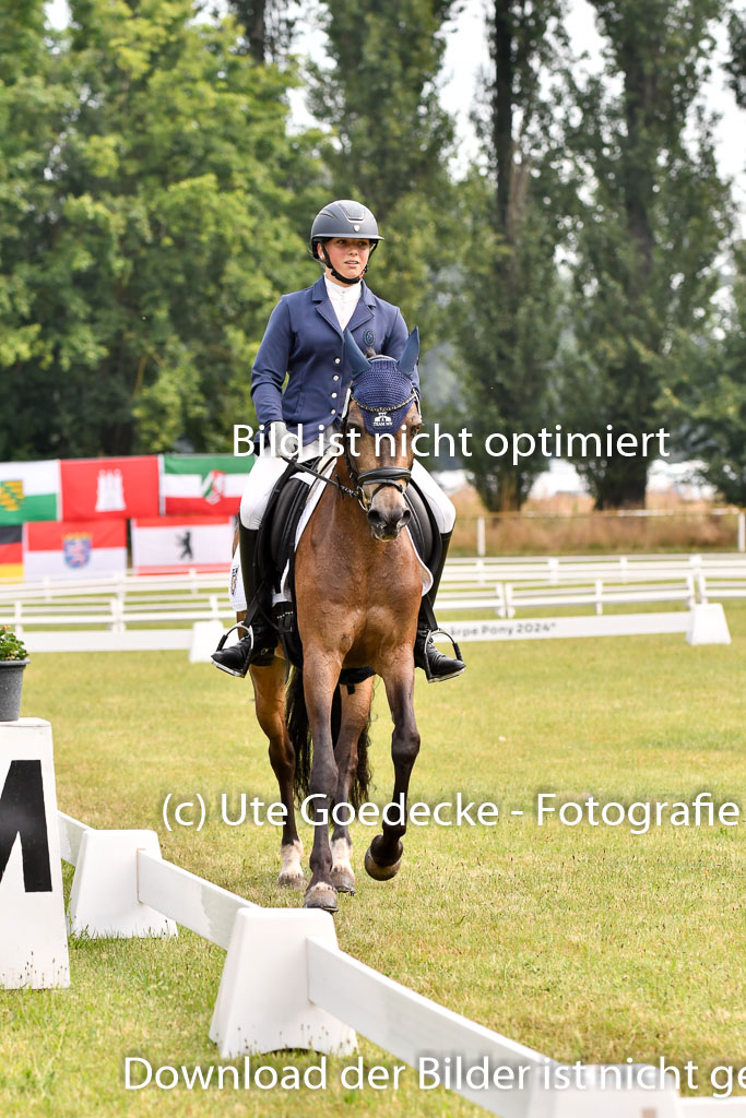 Goldene Schärpe Ponys in Hohenberg Krusemark 2024 | 12072024 Dressur _0046
