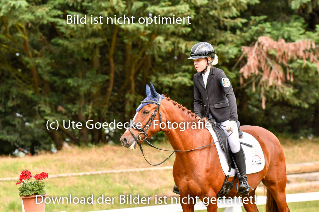 Goldene Schärpe Ponys in Hohenberg Krusemark 2024 | 12072024 Dressur _0047 