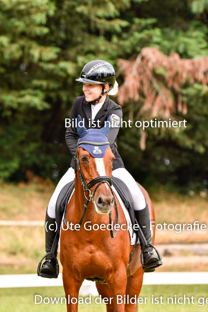 Goldene Schärpe Ponys in Hohenberg Krusemark 2024 | 12072024 Dressur _0050