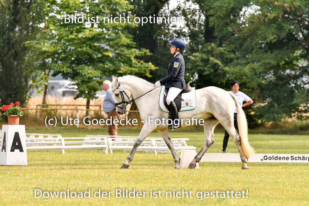 Goldene Schärpe Ponys in Hohenberg Krusemark 2024 | 12072024 Dressur _0051 