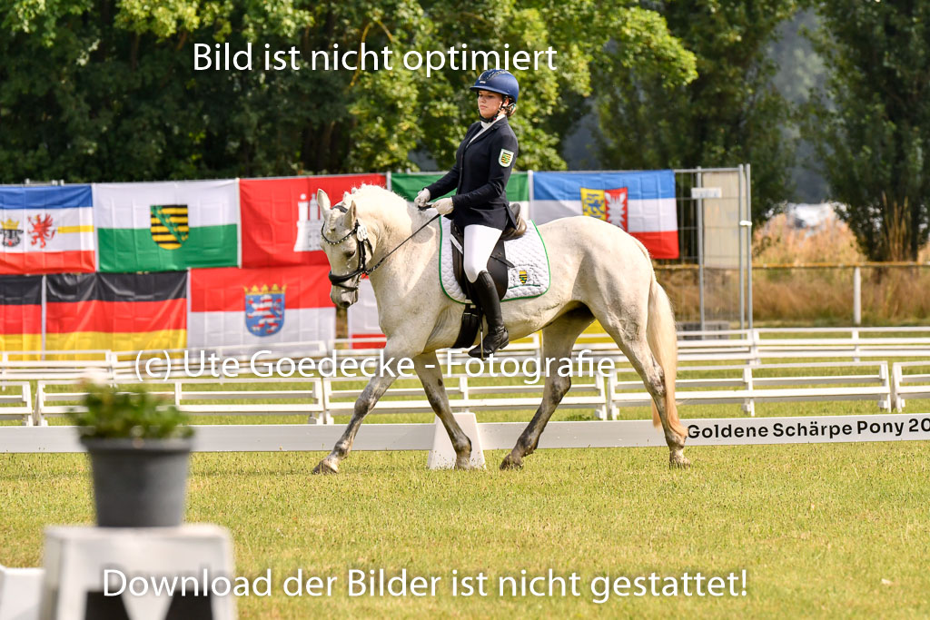 Goldene Schärpe Ponys in Hohenberg Krusemark 2024 | 12072024 Dressur _0053