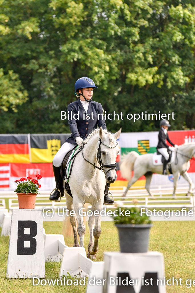 Goldene Schärpe Ponys in Hohenberg Krusemark 2024 | 12072024 Dressur _0054
