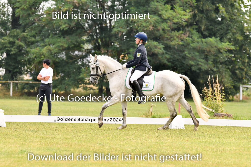 Goldene Schärpe Ponys in Hohenberg Krusemark 2024 | 12072024 Dressur _0063 