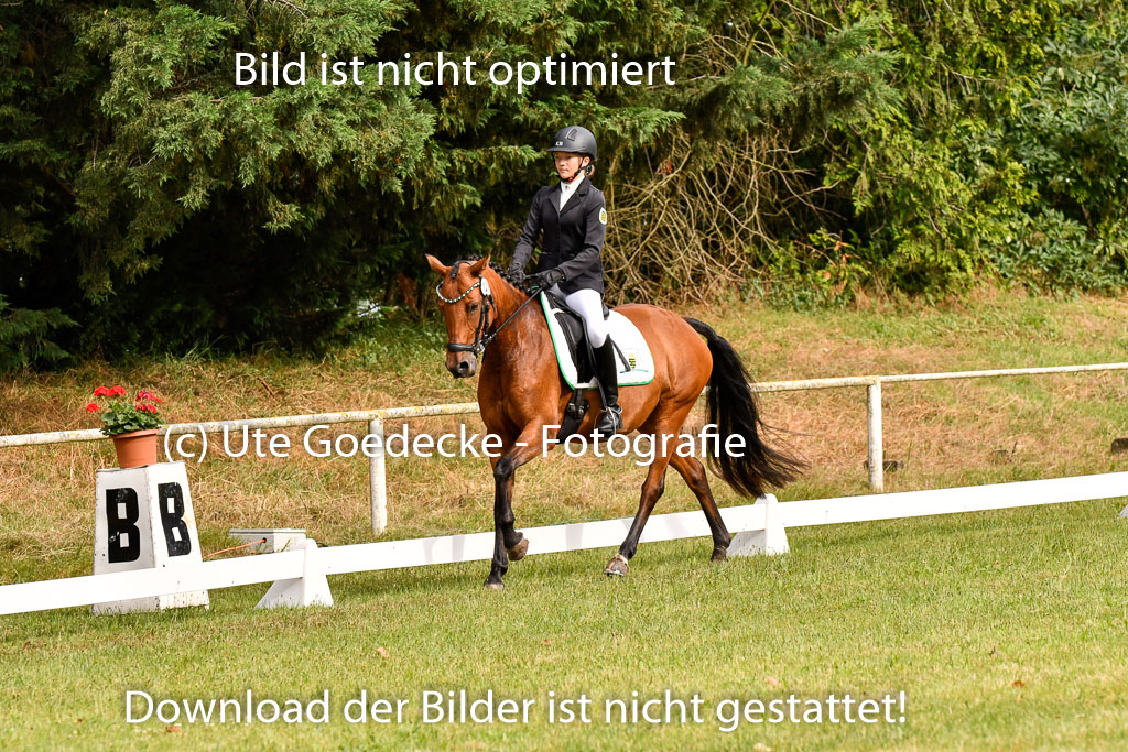 Goldene Schärpe Ponys in Hohenberg Krusemark 2024 | 12072024 Dressur _0065 