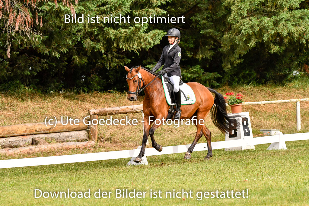 Goldene Schärpe Ponys in Hohenberg Krusemark 2024 | 12072024 Dressur _0067 