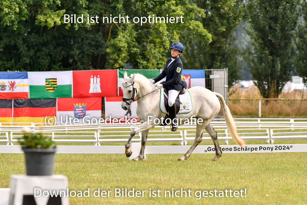 Goldene Schärpe Ponys in Hohenberg Krusemark 2024 | 12072024 Dressur _0068