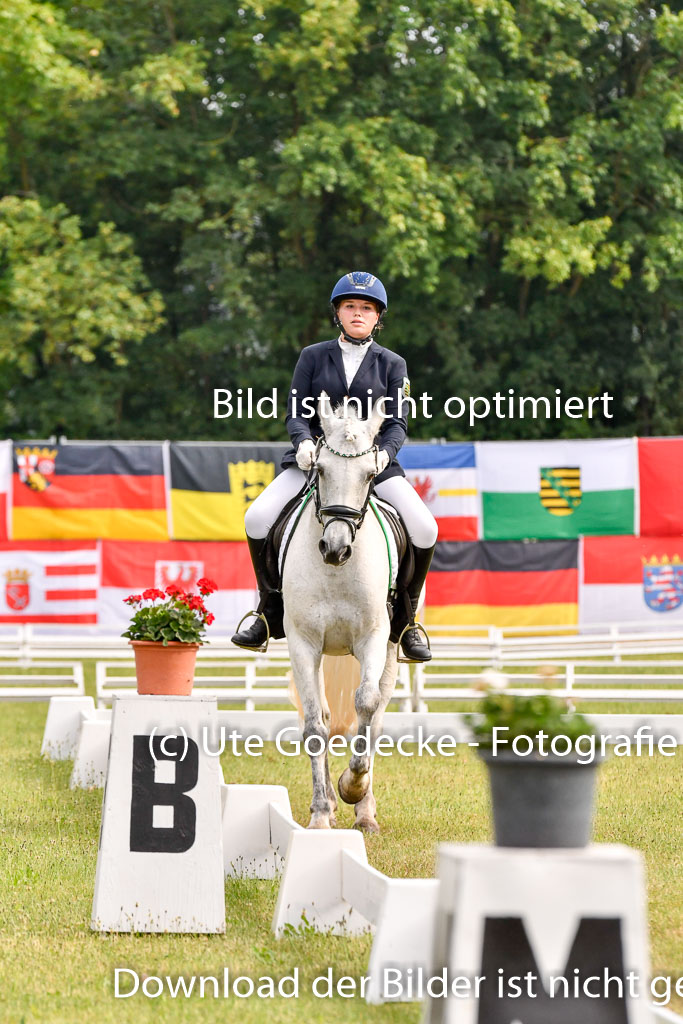 Goldene Schärpe Ponys in Hohenberg Krusemark 2024 | 12072024 Dressur _0069
