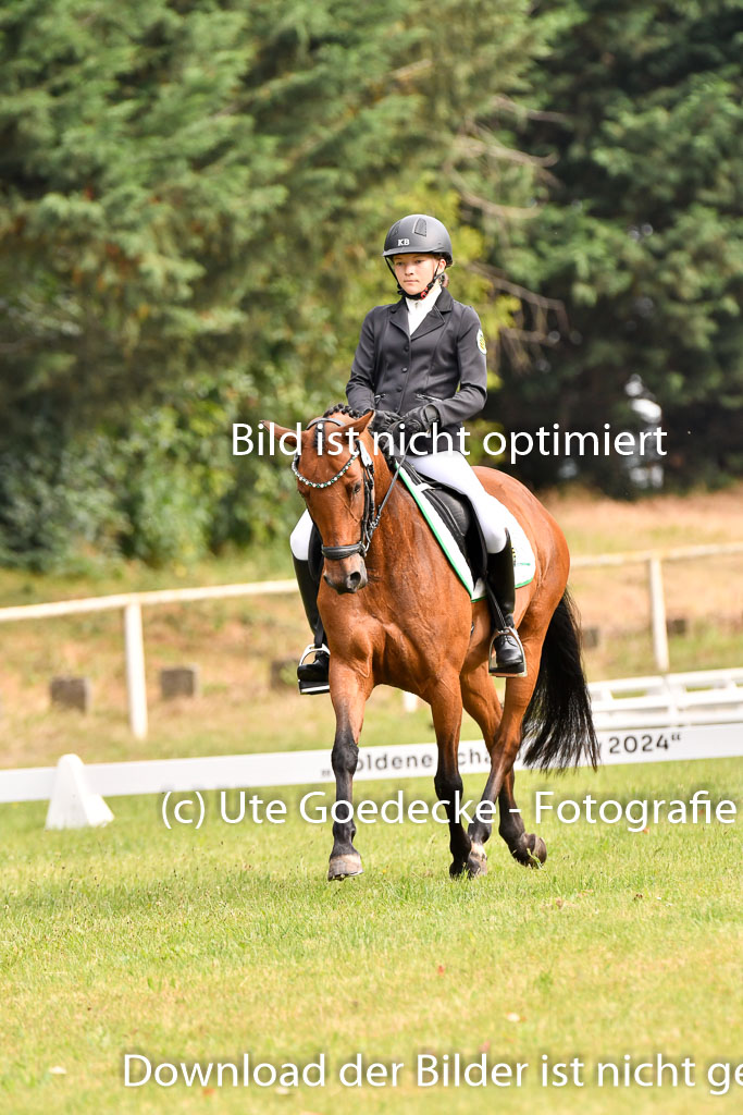 Goldene Schärpe Ponys in Hohenberg Krusemark 2024 | 12072024 Dressur _0071
