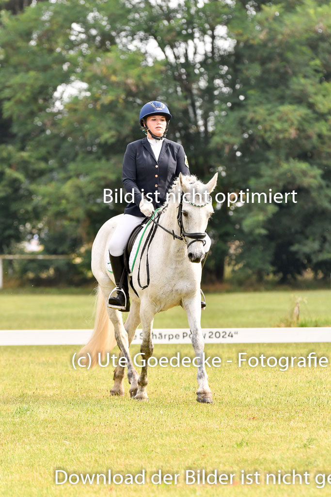 Goldene Schärpe Ponys in Hohenberg Krusemark 2024 | 12072024 Dressur _0073