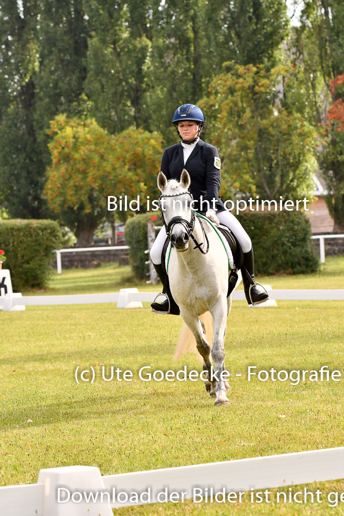Goldene Schärpe Ponys in Hohenberg Krusemark 2024 | 12072024 Dressur _0074