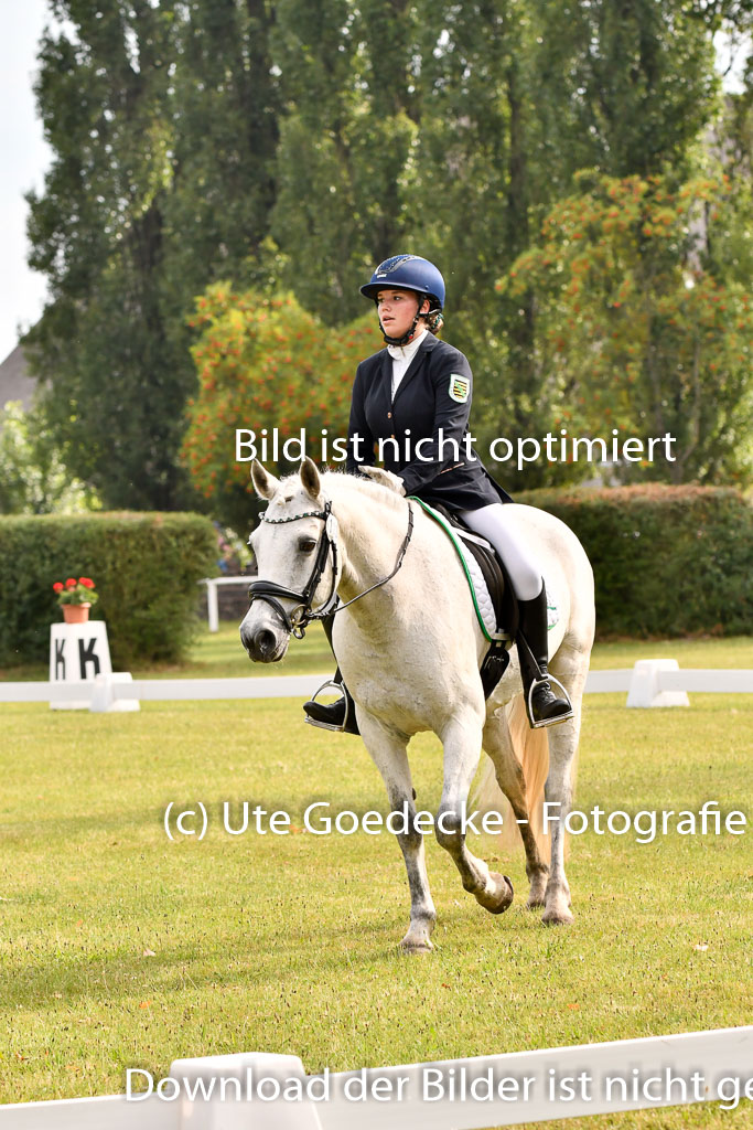 Goldene Schärpe Ponys in Hohenberg Krusemark 2024 | 12072024 Dressur _0075 