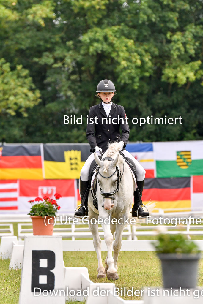 Goldene Schärpe Ponys in Hohenberg Krusemark 2024 | 12072024 Dressur _0076 