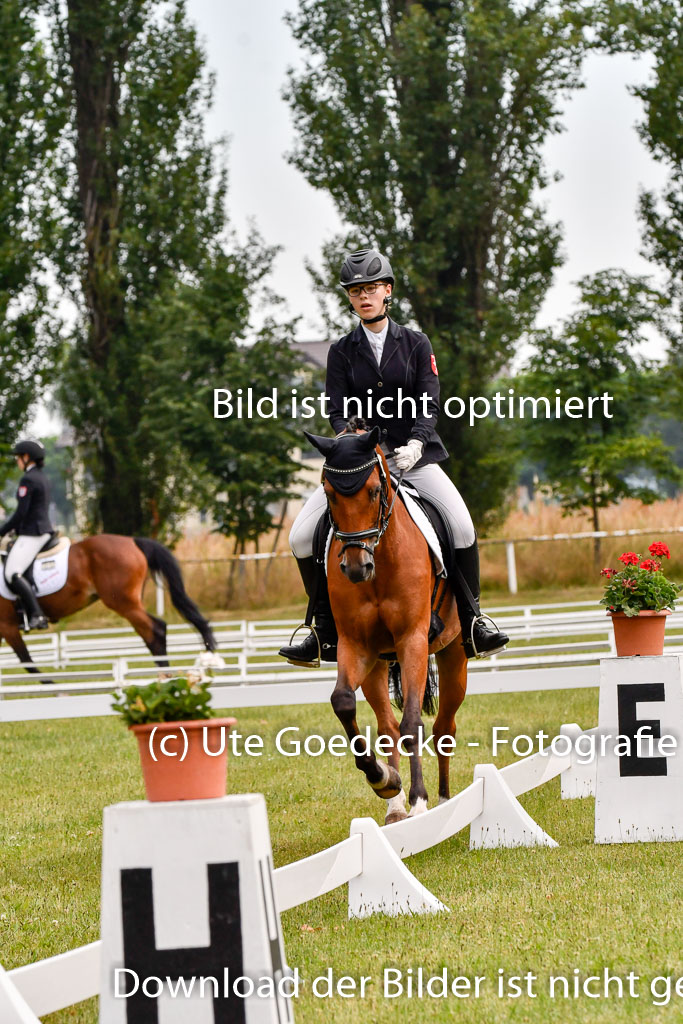 Goldene Schärpe Ponys in Hohenberg Krusemark 2024 | 12072024 Dressur _0080 