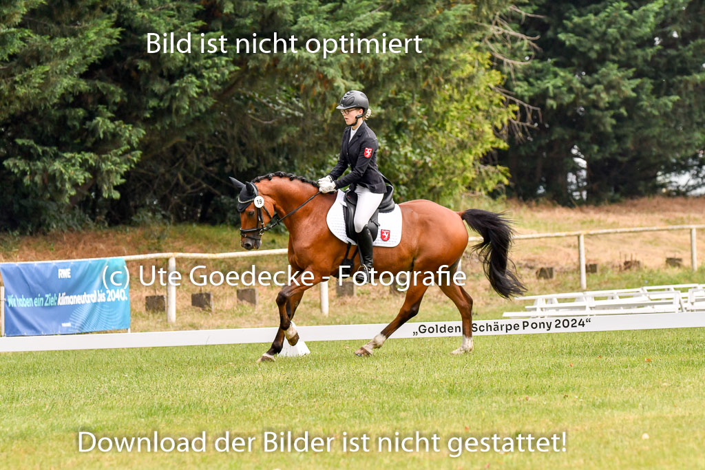 Goldene Schärpe Ponys in Hohenberg Krusemark 2024 | 12072024 Dressur _0082 