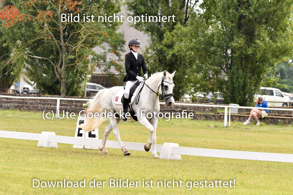 Goldene Schärpe Ponys in Hohenberg Krusemark 2024 | 12072024 Dressur _0084 